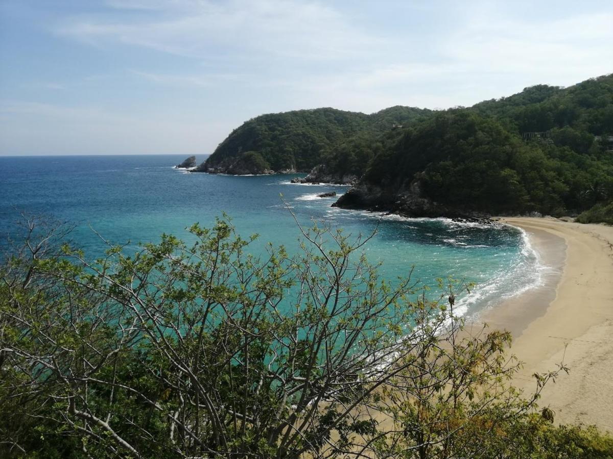 מלון Puerto Ángel Casa Luna Playa מראה חיצוני תמונה