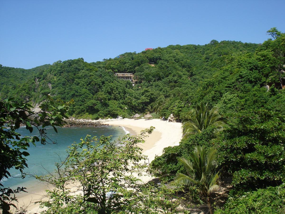 מלון Puerto Ángel Casa Luna Playa מראה חיצוני תמונה